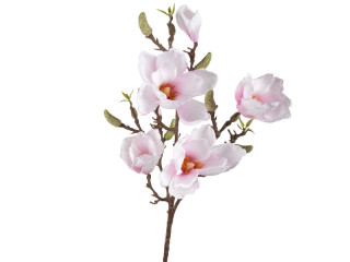 Magnolienzweig "Queens", L 81cm, B 25cm, weiss/pink, Blüten 6 - 12cm