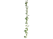 guirlande houblon, l 180cm, vert