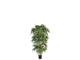 bambou en pot, vert, B1 ignifugé, h 120cm