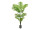 Palme Malibu getopft B1 grün, H 150cm schwer entflammabr