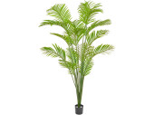 Palme Malibu getopft B1 grün, H 180cm schwer...