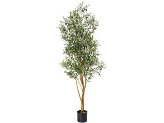 olivier en pot, vert, B1 ignifugé, h 180cm