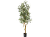 olive tree potted, green, B1 flame retardant, h 180cm