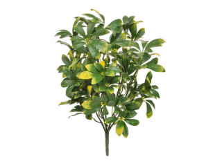 Pflanze Pawpaw B1 UV grün/gelb, H 51cm schwer entflammabr