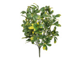 Pflanze Pawpaw B1 UV grün/gelb, H 51cm schwer...