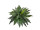 Boston Farnbusch big B1 grün, Ø 80cm, H 50cm schwer entflammbar