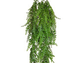 Farn-Hänger B1 UV-geschützt, grün, H 80cm,...