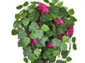 bougainvillea pendentif, vert/fuchsia, h 100cm, ignifuge B1