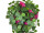 Bougainvillea-Hänger B1 grün/fuchsia, H 100cm, schwer entflammbar B1