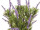 buisson de lavande vert/lavande, h 46cm, ignifuge B1, résistant aux UV