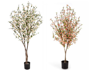 arbre à fleurs de cerisier diff. tailles et couleurs