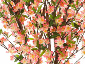 arbre à fleurs de cerisier diff. tailles et couleurs