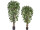 Ficus Benjamini getopft, grün, B1 schwer entflammbar, versch. Grössen