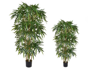 bambou en pot, vert, B1 ignifugé, diff. tailles