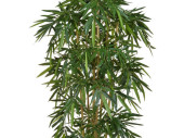 bamboo tree potted, green, B1 flame retardant, var. sizes