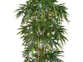 Bambusbaum getopft, grün, B1 schwer entflammbar,...