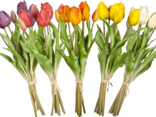 bouquet de tulipes "Royal" 7 pcs., h 38cm, Ø 20cm, 7 fleurs (4 ouvertes, 3 fermées), diff. couleurs
