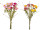 straw flower bouquet 15 pcs. h 45cm, Ø 25cm, var. colours
