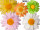 tête de fleur "flower", avec écrou M8, diff. tailles et couleurs