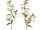 bellflower branch, h 120cm, w 40cm, flowers 5cm, var. colours
