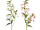 branche de campanule, h 120cm, p 40cm, fleurs 5cm, diff. couleurs