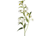 bellflower branch, h 120cm, w 40cm, flowers 5cm, white