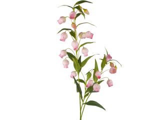 bellflower branch, h 120cm, w 40cm, flowers 5cm, rosy