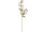 bellflower branch, h 120cm, w 40cm, flowers 5cm, rosy