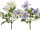 buisson de clématite, h 40cm, Ø 30cm, fleurs 9 - 14cm, diff. couleurs