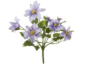 Clematis-Busch, H 40cm, Ø 30cm, Blüten 9 - 14cm, lavendel