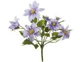 Clematis-Busch, H 40cm, Ø 30cm, Blüten 9 -...