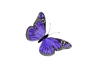 papillon "plumes" "L" 29 x 19cm lilas
