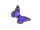 Schmetterling "Federn" "L" 29 x 19cm lila
