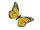 butterfly "feathers" "XL" 54 x 32cm yellow
