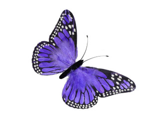 papillon "plumes" "XL" 54 x 32cm lilas
