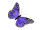 papillon "plumes" "XL" 54 x 32cm lilas
