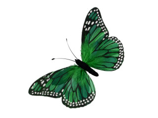 Schmetterling "Federn" "XL" 54 x 32cm grün