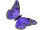 Schmetterling "Federn" "XXL" 73 x 42cm lila