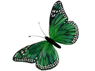 Schmetterling Federn XXL 73 x 42cm grün