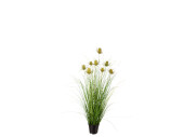 buisson de chardon en pot, vert, h 90cm, Ø en haut...