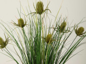 buisson de chardon à piquer, vert, h 55cm, Ø en haut env. 30cm