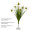 thistle grass bush for sticking, green, h 55cm, Ø top approx. 30cm