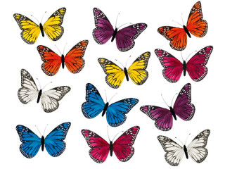 butterfly "feathers" 12 pcs. 7 x 4cm mixed