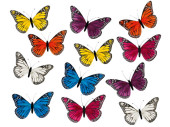 papillons "plumes" 12 pcs. 7 x 4cm...
