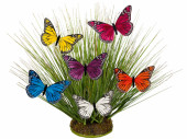 papillons "plumes" 12 pcs. 7 x 4cm...