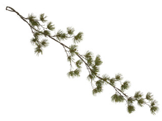 guirlande de pins "Virginia" marron/vert, p 30cm, l 140cm, plastique