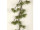 pine garland "Virginia" brown/green, w 30cm, l 140cm, plastic