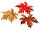 maple mix autumn leaves, autumn colours, Ø 15cm, 24 pieces