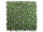 natte de feuilles "Living Wall" B1 vert, 100 x 100 x h 7cm, ignifuge