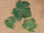 vine leaves 24 pieces, 6 - 12 cm, 3 sizes, green
